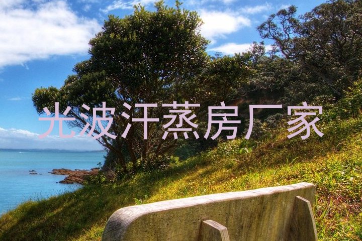 光波汗蒸房厂家