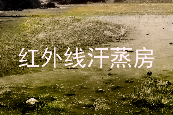 红外线汗蒸房