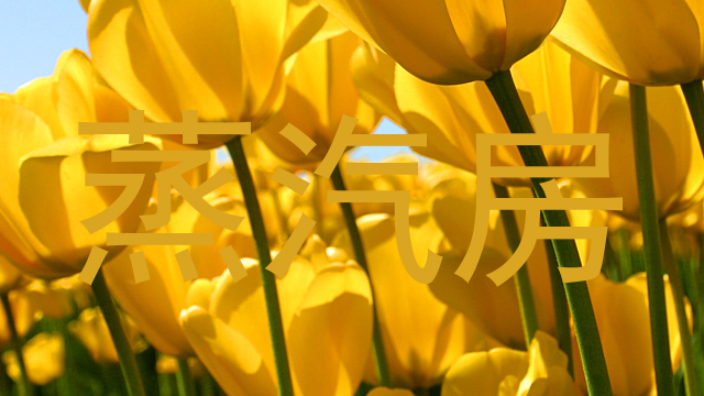 蒸汽房