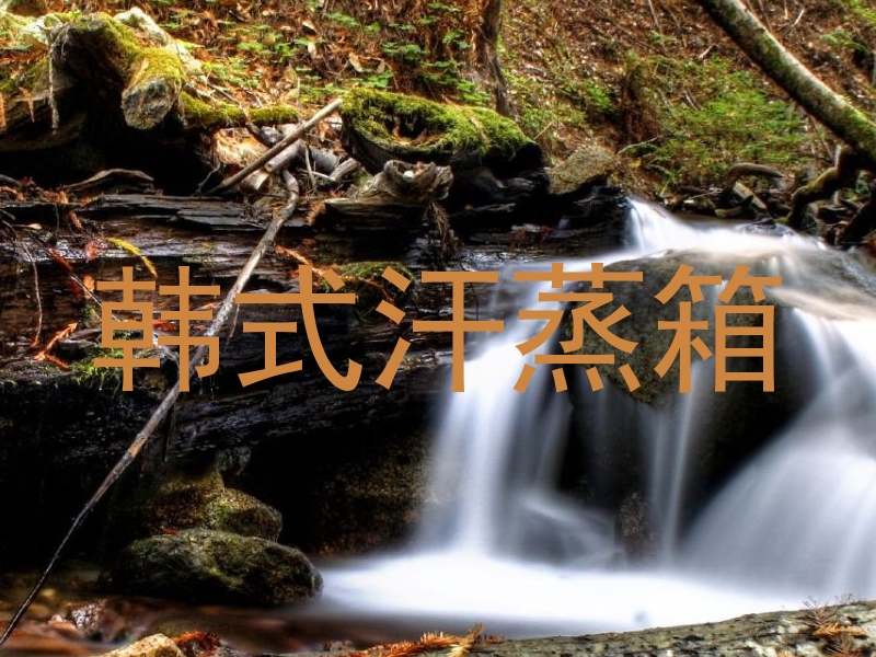 韩式汗蒸箱