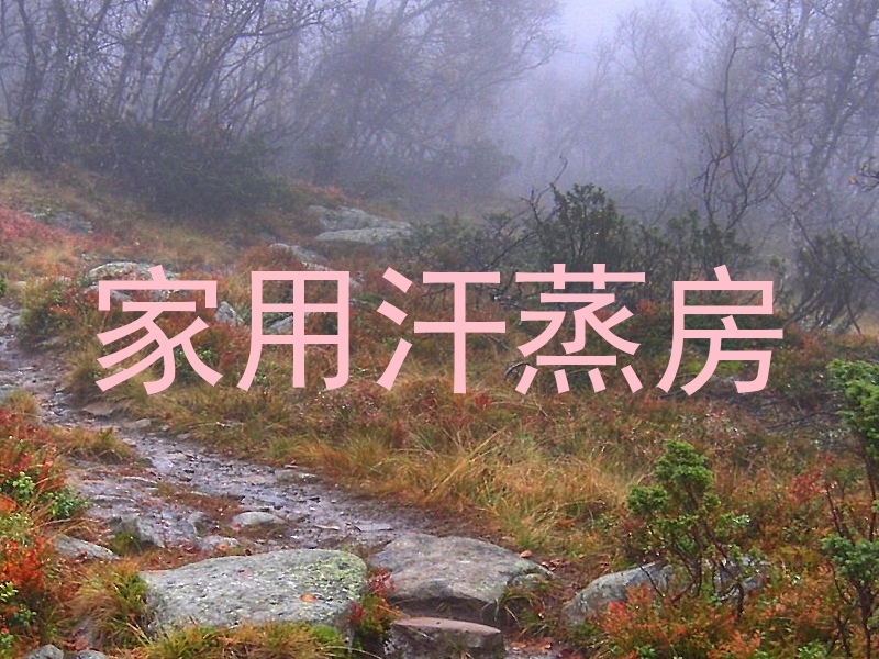 家用汗蒸房