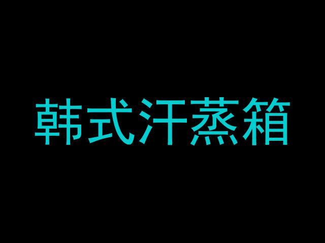 韩式汗蒸箱