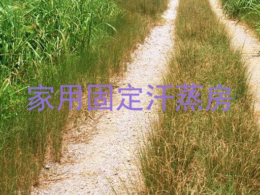 家用固定汗蒸房
