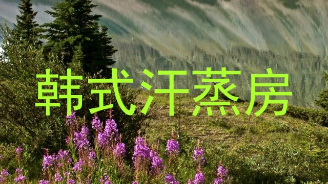 韩式汗蒸房