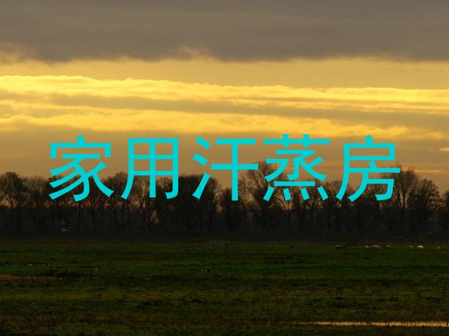 家用汗蒸房