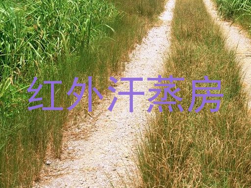 红外汗蒸房