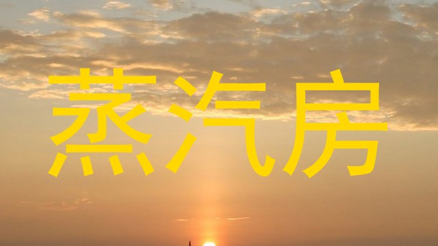 蒸汽房