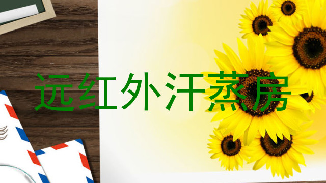 远红外汗蒸房