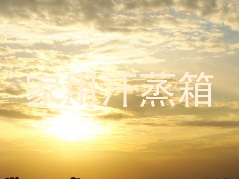 家用汗蒸箱