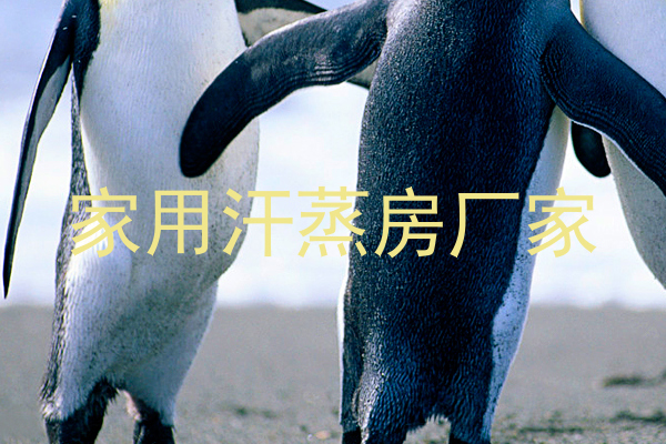 家用汗蒸房厂家