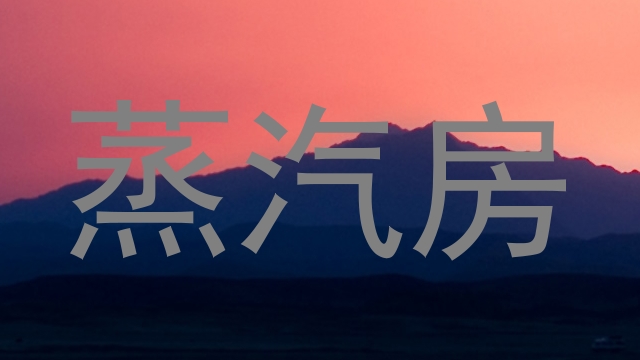 蒸汽房