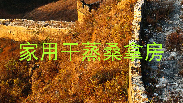 家用干蒸桑拿房
