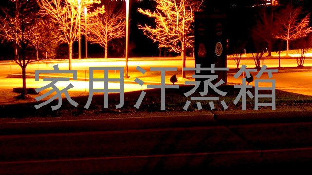 家用汗蒸箱