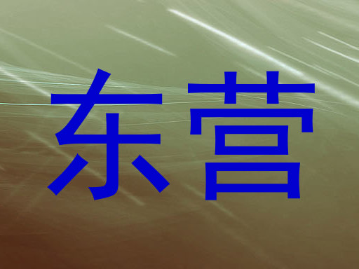 东营