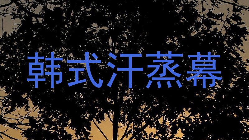 韩式汗蒸幕