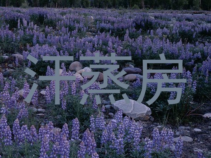 汗蒸房