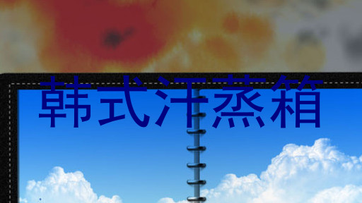 韩式汗蒸箱