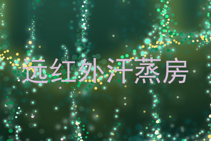 远红外汗蒸房