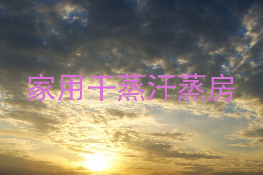 家用干蒸汗蒸房