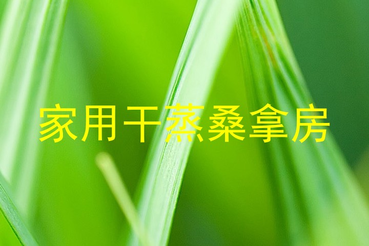 家用干蒸桑拿房