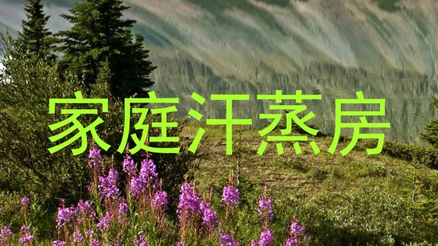 家庭汗蒸房
