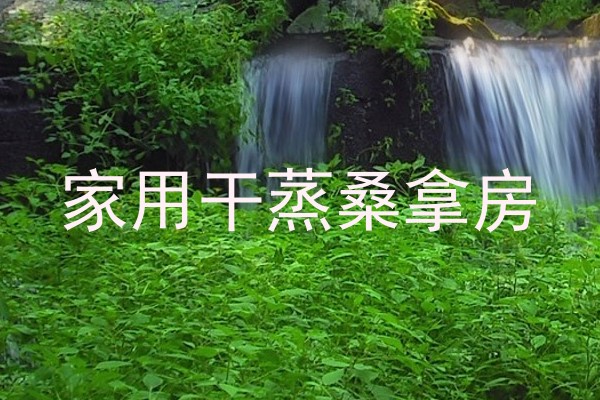 家用干蒸桑拿房