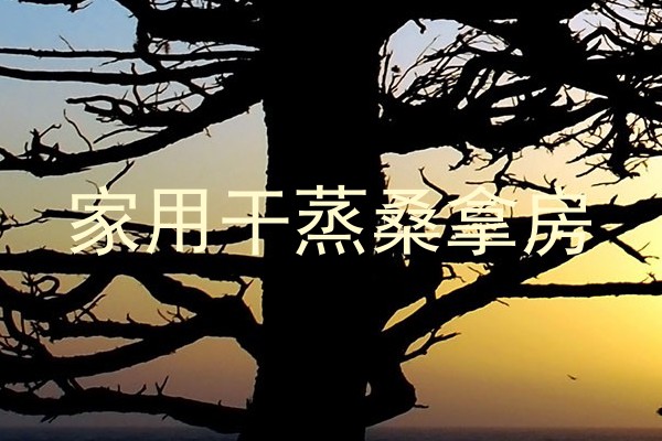家用干蒸桑拿房