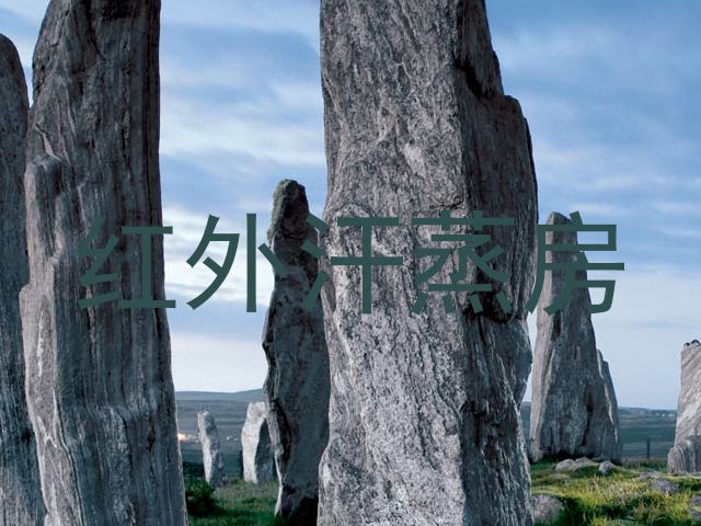 红外汗蒸房