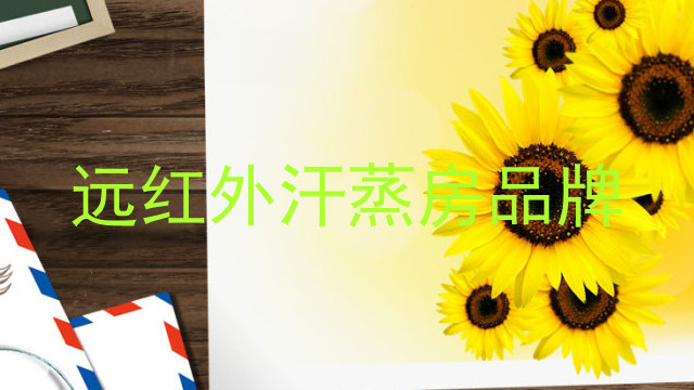 远红外汗蒸房品牌