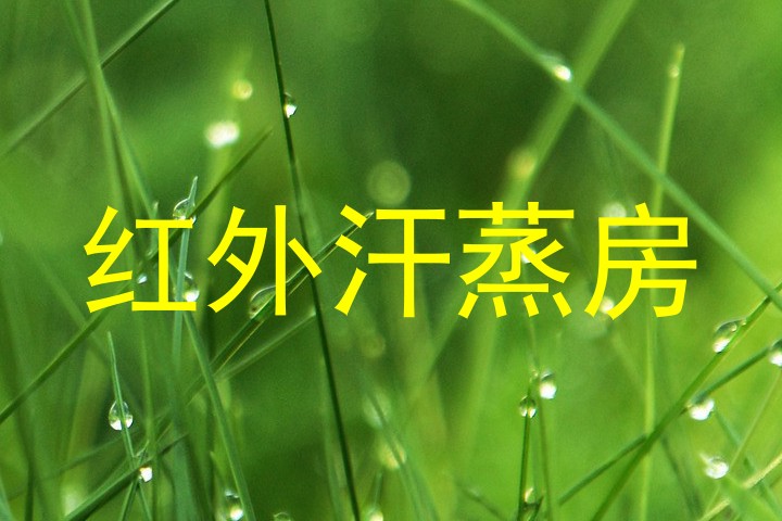 红外汗蒸房