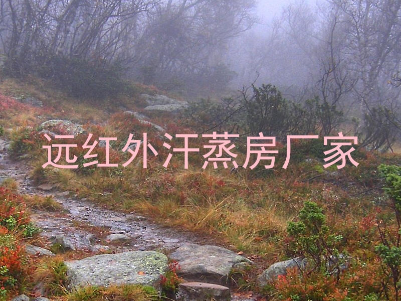 远红外汗蒸房厂家
