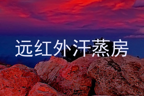 远红外汗蒸房