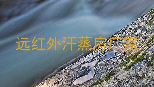远红外汗蒸房厂家