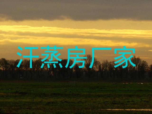 汗蒸房厂家