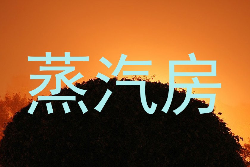 蒸汽房