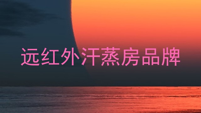 远红外汗蒸房品牌