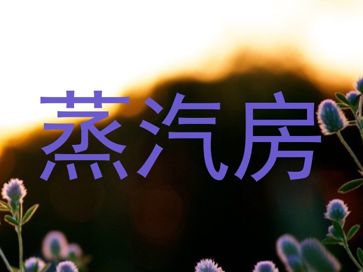 蒸汽房