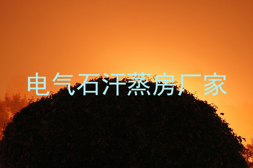 电气石汗蒸房厂家