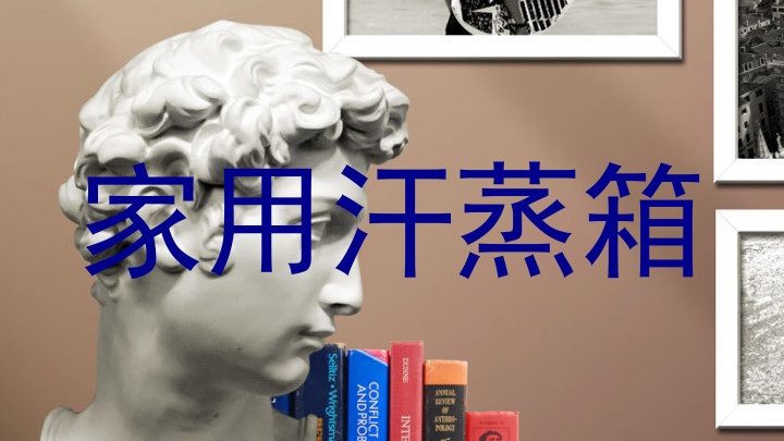 家用汗蒸箱