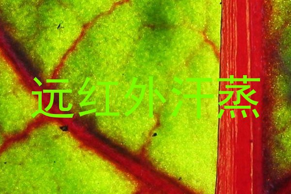 远红外汗蒸