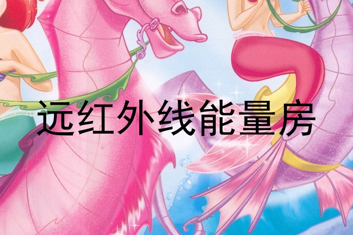 远红外线能量房