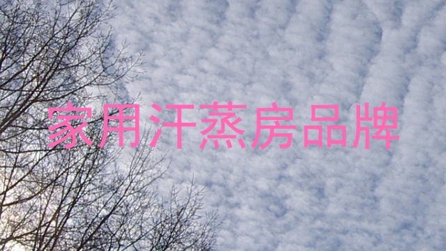 家用汗蒸房品牌