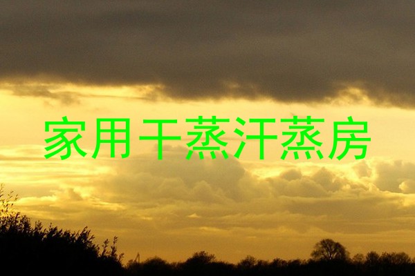 家用干蒸汗蒸房