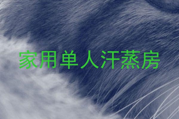 家用单人汗蒸房