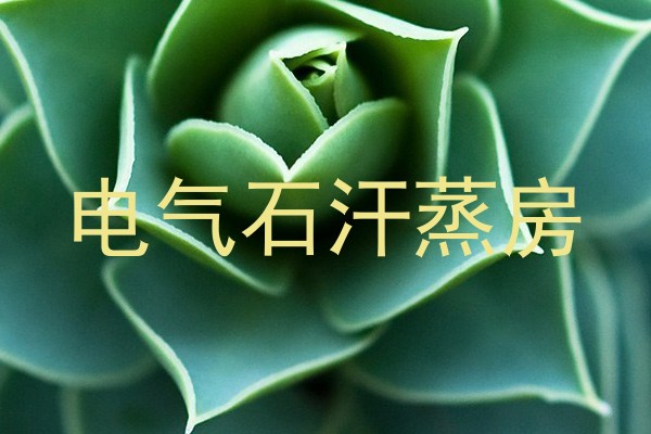 电气石汗蒸房
