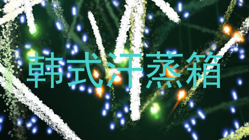 韩式汗蒸箱