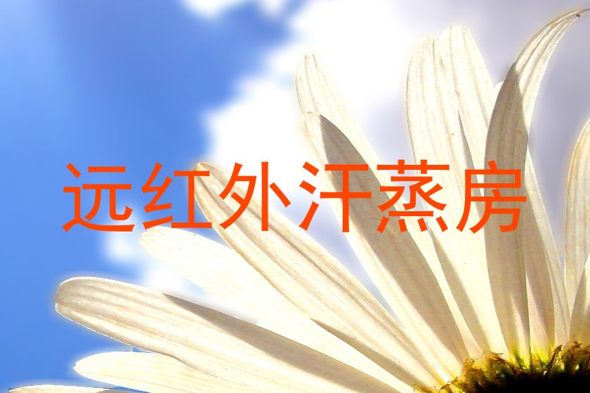 远红外汗蒸房