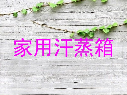 家用汗蒸箱