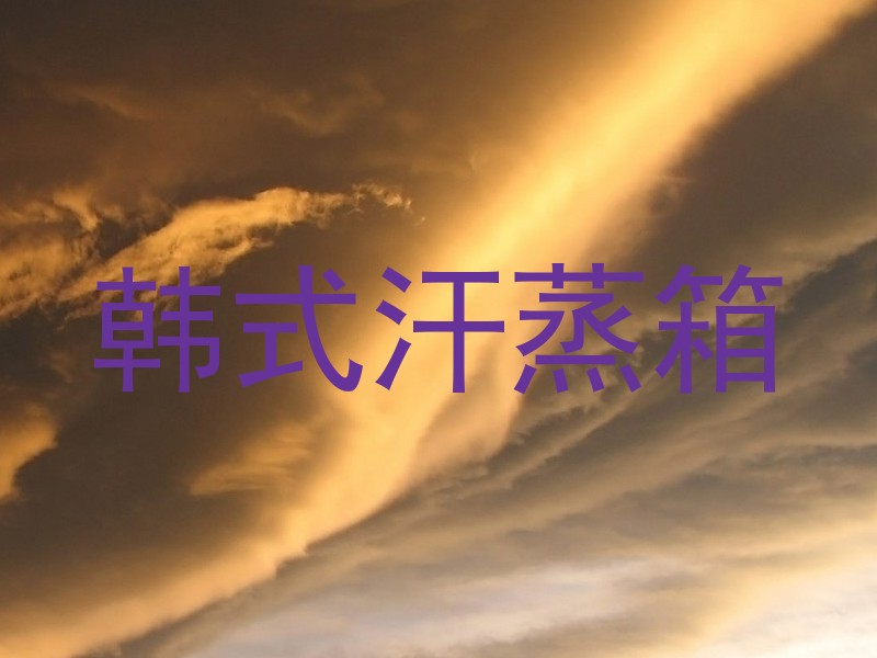 韩式汗蒸箱