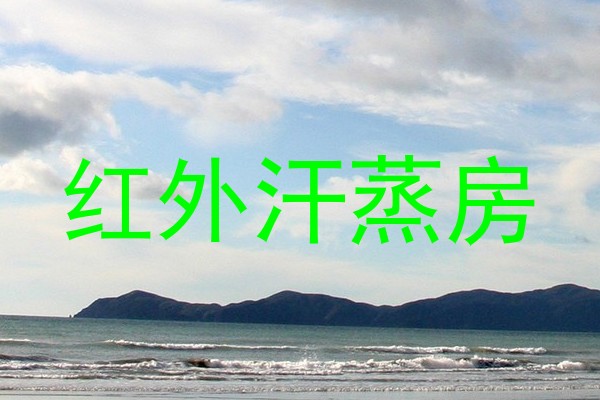 红外汗蒸房